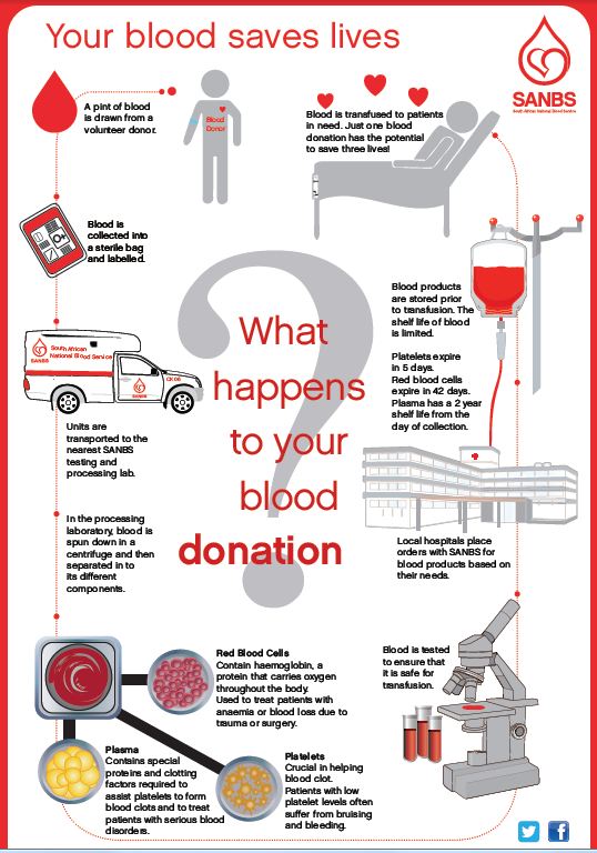 Why should people donate blood? Insurance Chat