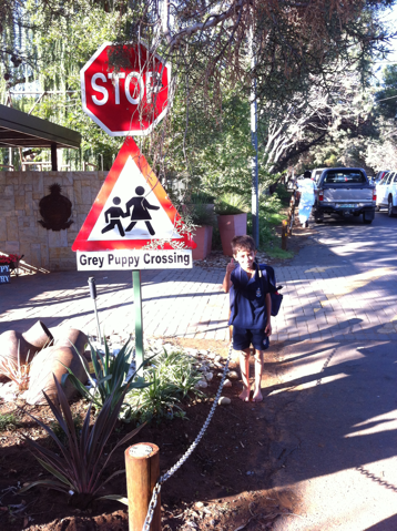 school crossing sign