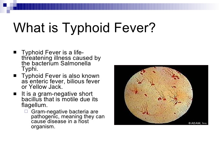 typhoid-fever-2-728