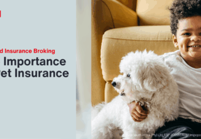 The Importance of Pet Insurance