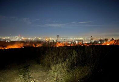 Vegetation fire stopped before reaching an estate in Johannesburg South